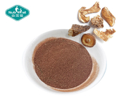 Organic Herbal Nootropic Supplement Mushroom Extract Powder Chaga Cordyceps Lion's Mane Maitake Reishi Blend Powder
