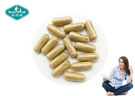 Herbal Supplements Custom Customized St Johns Wort Capsules for Mental and Emotional Health
