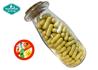 Nutrifirst Herbal Supplements Immune Booster Echinacea Goldenseal Root Powder Purpurea Extract Powder Capsules