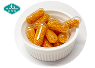 Super B Vitamins Sustained Release Micropellet Capsules