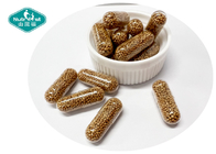 Nutrifirst Vegan Chaga Mushroom Vitamin C Sustained Release Micropellet Capsule for Focus, Energy & Mental Performance
