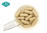 OEM Private Label Hormone Balance Vitex Agnus-Castus Chasteberry Extract Supplement Capsules For Female Women
