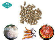 Customize Formula Chinese Caterpillar Fungus Cordyceps Sinensis Complex Capsule