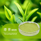 Natural Botanical Extracts 98.0% Polyphenols Green Tea Extract with EGCG 98%