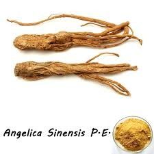 100% Natural Extract Angelica Root Extract Promotes Heart and Helps Fight Stress