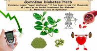 Gymnema Sylvesrtis Extract,Gymnemic Acid,Brown Powder,Herbal Extract/Plant Extract