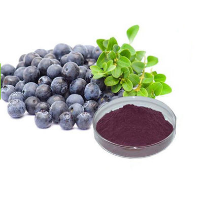 100% Natural Weight Loss Brazil Acai Berry Extract with Purple Powder for Skin as Herbal Extract and Plant Extract