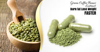 Green Coffee Bean Extract,Light Yellow Brown Powder,Herbal Extract and Plant Extract