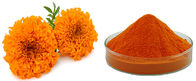 Zeaxanthin Powder 5%-80%,Marigold Extract,Orange,herbal Extract/Plant Extract