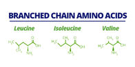 Instant BCAA Branch Chain Amino Acid 2:1:1 , 4:1:1 , 8:1:1 Sport Nutrition Powder
