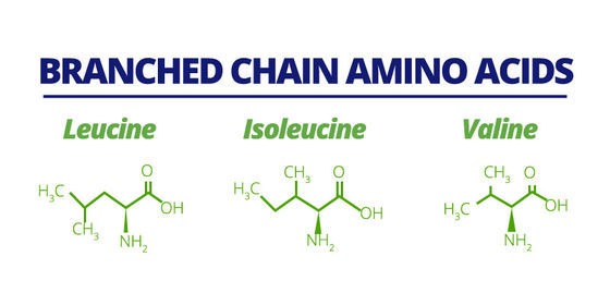 Instant BCAA Branch Chain Amino Acid 2:1:1 , 4:1:1 , 8:1:1 Sport Nutrition Powder