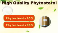 Phytosterol Powder,90%,95%,Dietary Supplements,White to off -white