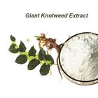 Giant Knotweed Extract,Polygonum Cuspidatum,Resveratrol,Brown or white fine powder,Herbal Extract