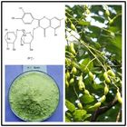 Rutin Extract,Sophora japonica L. Extract，Light Yellow Powder，herbal Extract/Plant Extract
