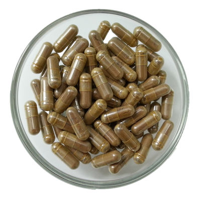 Ganoderma Lucidum Reishi Mushroom Capsules with Vegetarian Capsule for Healthy Heart