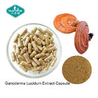 Ganoderma Lucidum Reishi Mushroom Capsules with Vegetarian Capsule for Healthy Heart