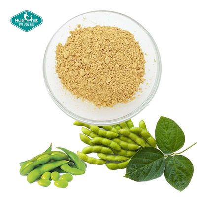 100% Natural Women Health Soybean Extract 40% Soy Isoflavone with Daidzein 15% for Menopausal Osteoporosis