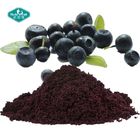 100% Natural Weight Loss Brazil Acai Berry Extract with Purple Powder for Skin as Herbal Extract and Plant Extract