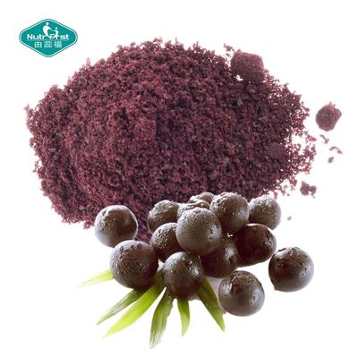 100% Natural Weight Loss Brazil Acai Berry Extract with Purple Powder for Skin as Herbal Extract and Plant Extract