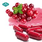 100% Natural Freeze Dried Cranberry Powder Cranberry Juice Powder Extract 25% for Skin