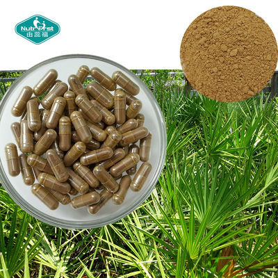 Saw Palmetto Capsule with Nettle Root Extract for Men's Prostate