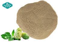 100% Natural Freeze Dried Noni Fruit Powder Noni Fruit Powder for Healthy Body Weight