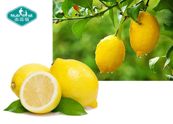 Freeze Dried Lemon Powder Lemon Juice Fruit Powder Supports a Healthy Immune System