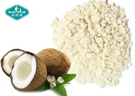 Freeze Dried Coconut Powder Coconut Water Powder for Delicious Source of Hydration