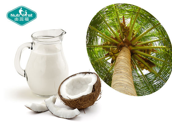 Freeze Dried Coconut Powder Coconut Water Powder for Delicious Source of Hydration