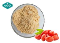 Organic Red Wolfberry Fruit And Vegetable Powder / Freeze Dried Goji Berry Powder