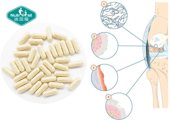 Glucosamine Chondroitin Vitamin C  Sustained Release Pellets Capsules for Joint Health