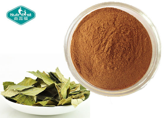 Healthy Slimming Body L-carnitine Base Lotus Leaf Tea solid Drink for Remove Blood Lipid and Weight loss