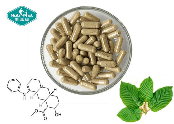 100% Natural Yohimbe Bark Extract 500 mg Capsule for Men's Health