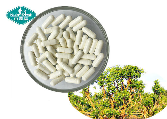 100% Natural Yohimbe Bark Extract 500 mg Capsule for Men's Health