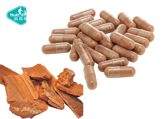 100% Natural Yohimbe Bark Extract 500 mg Capsule for Men's Health