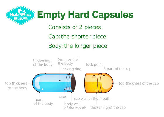 Vacant Vegetarian Capsules , Hard HPMC Capsules , Empty Hard Capsules with Blue ,Yellow & Clear Color