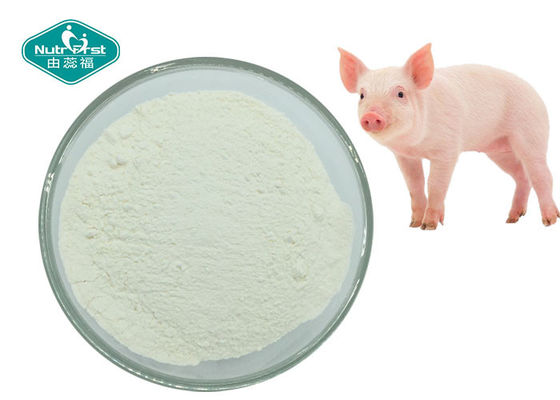 Chondroitin Sulfate ex Bovine , Porcine and Chicken USP40 for Joint Health