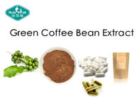 Green Safe Effective Weight Loss Pills Coffee Bean Extract 400mg Capsules with 50% Chlorogenic Acid