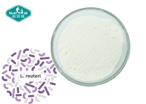 Healthy Probiotics Strain Lactobacillus Reuteri for Anti-inflammatory and Lowers cholesterol