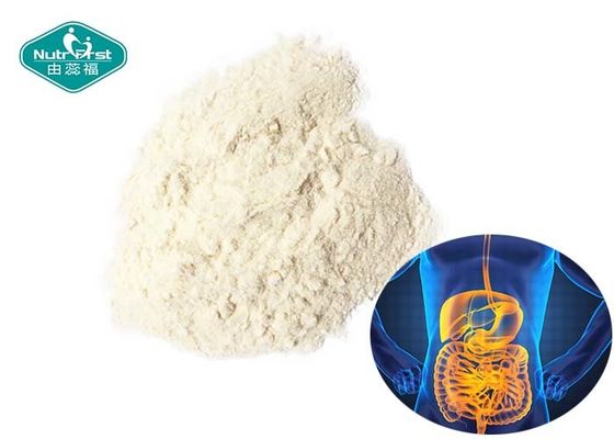 Healthy Probiotic Strain Lactobacillus paracasei 400 Billion CFU/g Powder for Metabolism Support