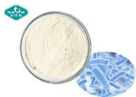 Healthy Probiotic Strain Lactobacillus paracasei 400 Billion CFU/g Powder for Metabolism Support