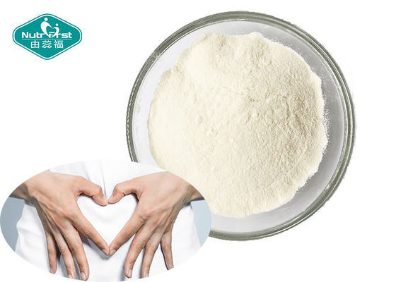 Healthy Gut and Immune System Probiotic Strain Lactobacillus Rhamnosus 400 Billion CFU/g Powder