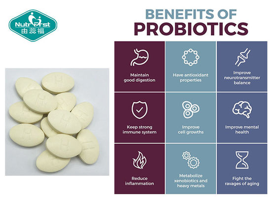 Fundamental Probiotics-Chewable Probiotics Supplement for Kids and Adults - Chewable Tablets