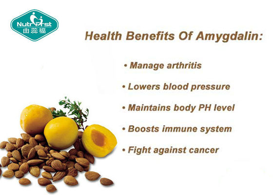 Bitter Apricot Seed Extract Vitamin B17 Amygdalin / Laetrile 98% for Cancer Treatment