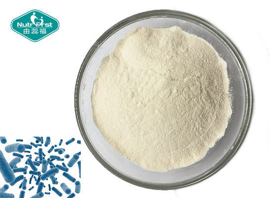 Natural Probiotic Strain Powder Bifidobacterium Lactis for Digestive System Support