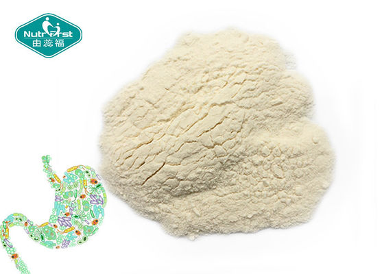 Healthy GI Tract Supplement Probiotic Powder Bifidobacterium Adolescentis White