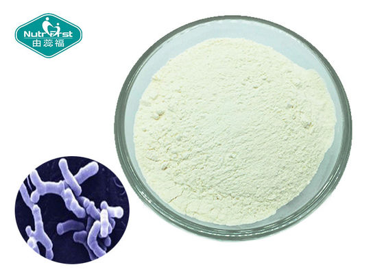 Healthy GI Tract Supplement Probiotic Powder Bifidobacterium Adolescentis White