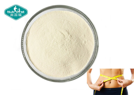 GI Tract Probiotic Powder Bifidobacterium Bifidum -4℃ Storage