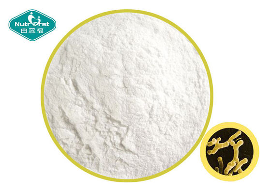 GI Tract Probiotic Powder Bifidobacterium Bifidum -4℃ Storage