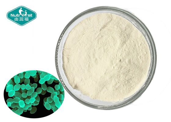 Lower Cholesterol Probiotic Powder Pediococcus Pentosaceus 2 Years Shelf Life